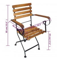 vidaXL Folding Patio Chairs 2 pcs Steel and Solid Wood Acacia