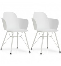 Set of 2 Metal Frame Modern Petal-Shape Plastic Dining Chairs-Black