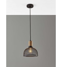 Caged Black Metal Small Ceiling Pendant