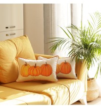 Set Of 2 20" Thanksgiving Pumpkin Throw Pillow Cover In Multicolor