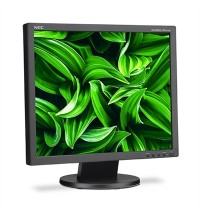 19" LED Backlit LCD Monitor