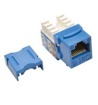 Cat6 Cat5e Jack Blue