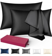 (2 Pack Black,Standard 20"x26")Silk Pillowcase for Hair and Skin,22 Momme 100% Mulberry Silk & Natural Wood Pulp Fiber Grade 6A Double-Sided Silk Pillow Cases with Hidden Zipper,600 Thread Count